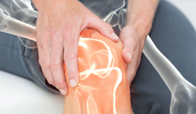 Body’s Cartilage