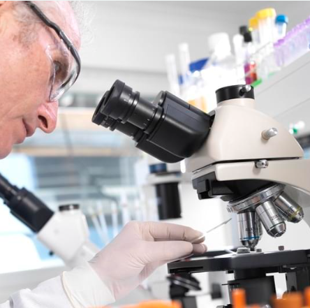 Evidence-Based Ingredients