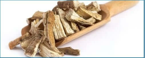 Marshmallow Root