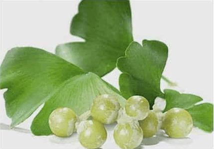 Ginkgo Biloba