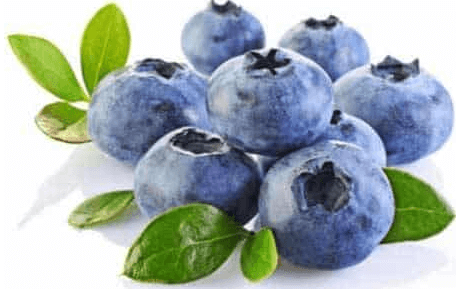 Bilberry Extract