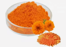 Lutein and Zeaxanthin