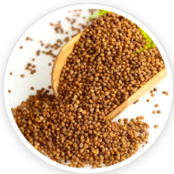 Dodder Seed (Cuscuta Chinensis)