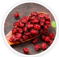 Schisandra Chinensis