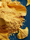 Ginkgo Biloba Powder