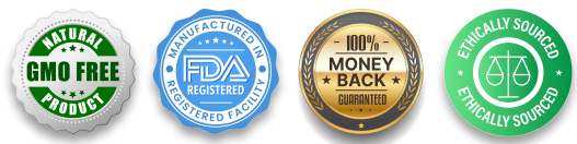 Quality, Safety & Manufacturing