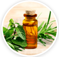 Tea Tree Oil