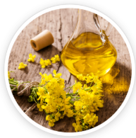 Canola Oil