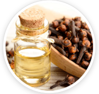 Clove Bud Oil