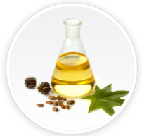Undecylenic Acid