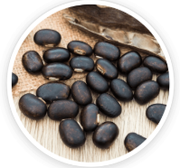 Mucuna Pruriens & Maca Root