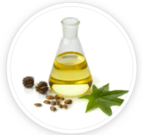 Undecylenic Acid (5%)