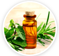 Tea Tree Oil
