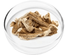 Marshmallow Root